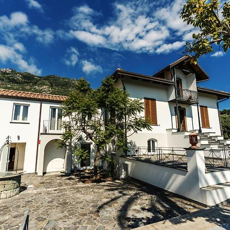 Tenuta Calitto Wine Resort E Spa Ischia Kültér fotó