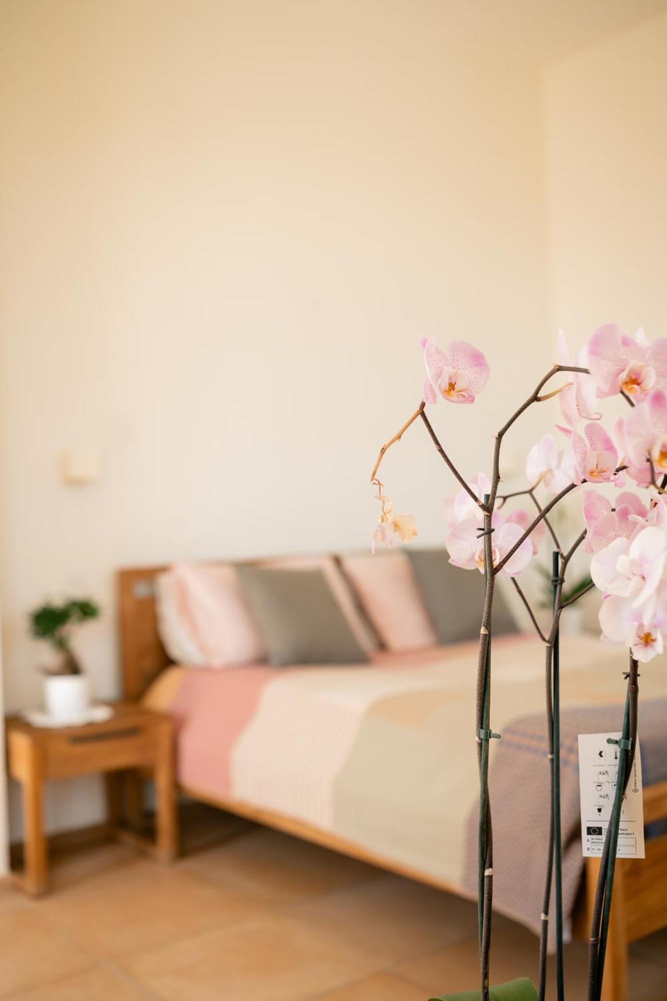 Tenuta Calitto Wine Resort E Spa Ischia Kültér fotó