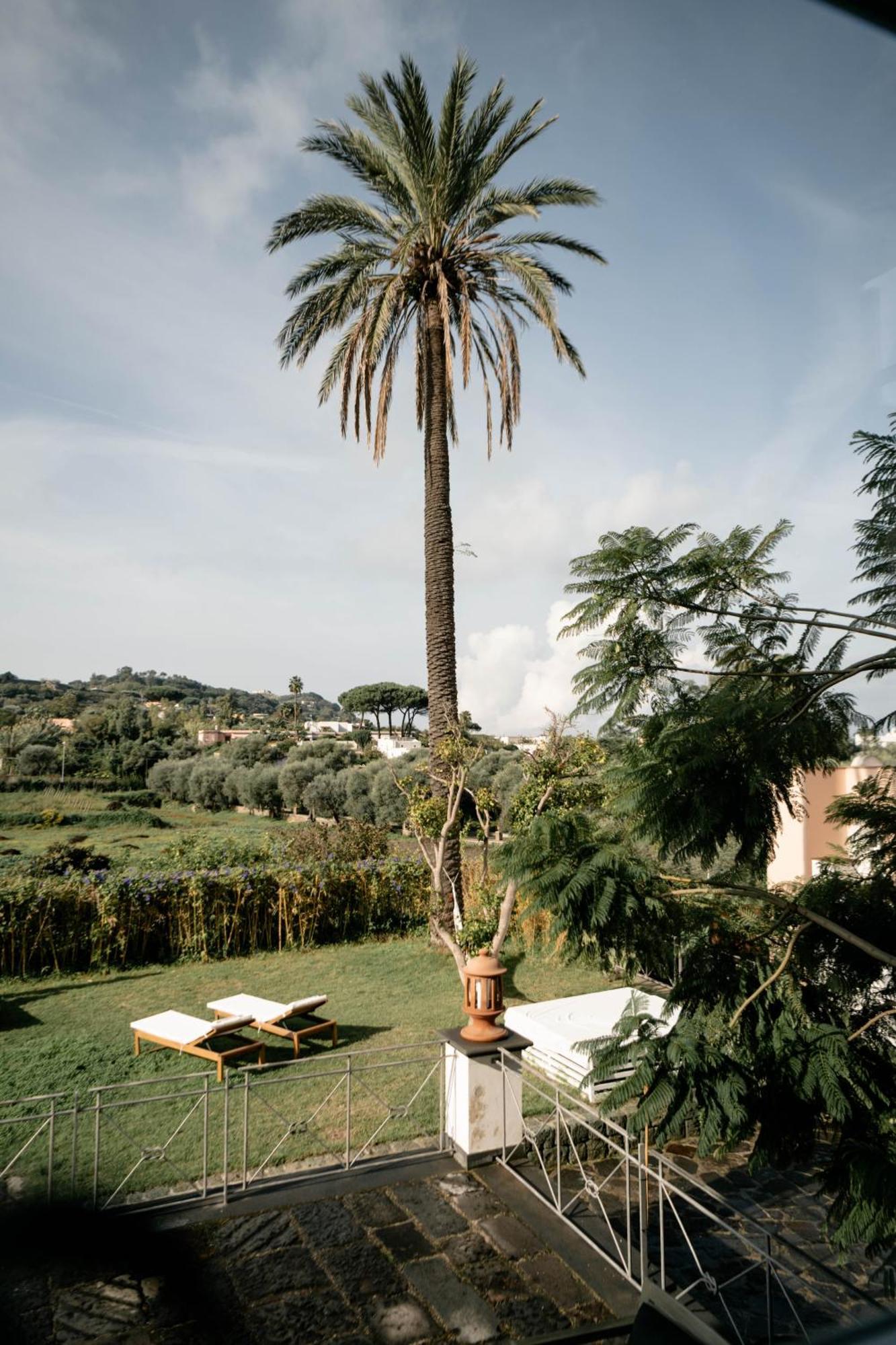 Tenuta Calitto Wine Resort E Spa Ischia Kültér fotó