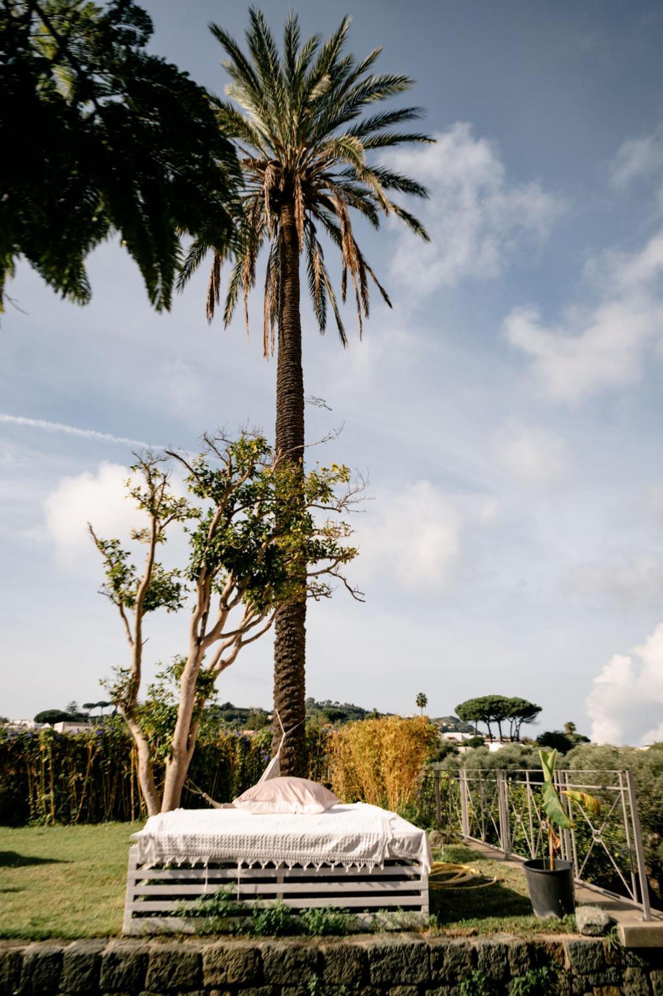 Tenuta Calitto Wine Resort E Spa Ischia Kültér fotó