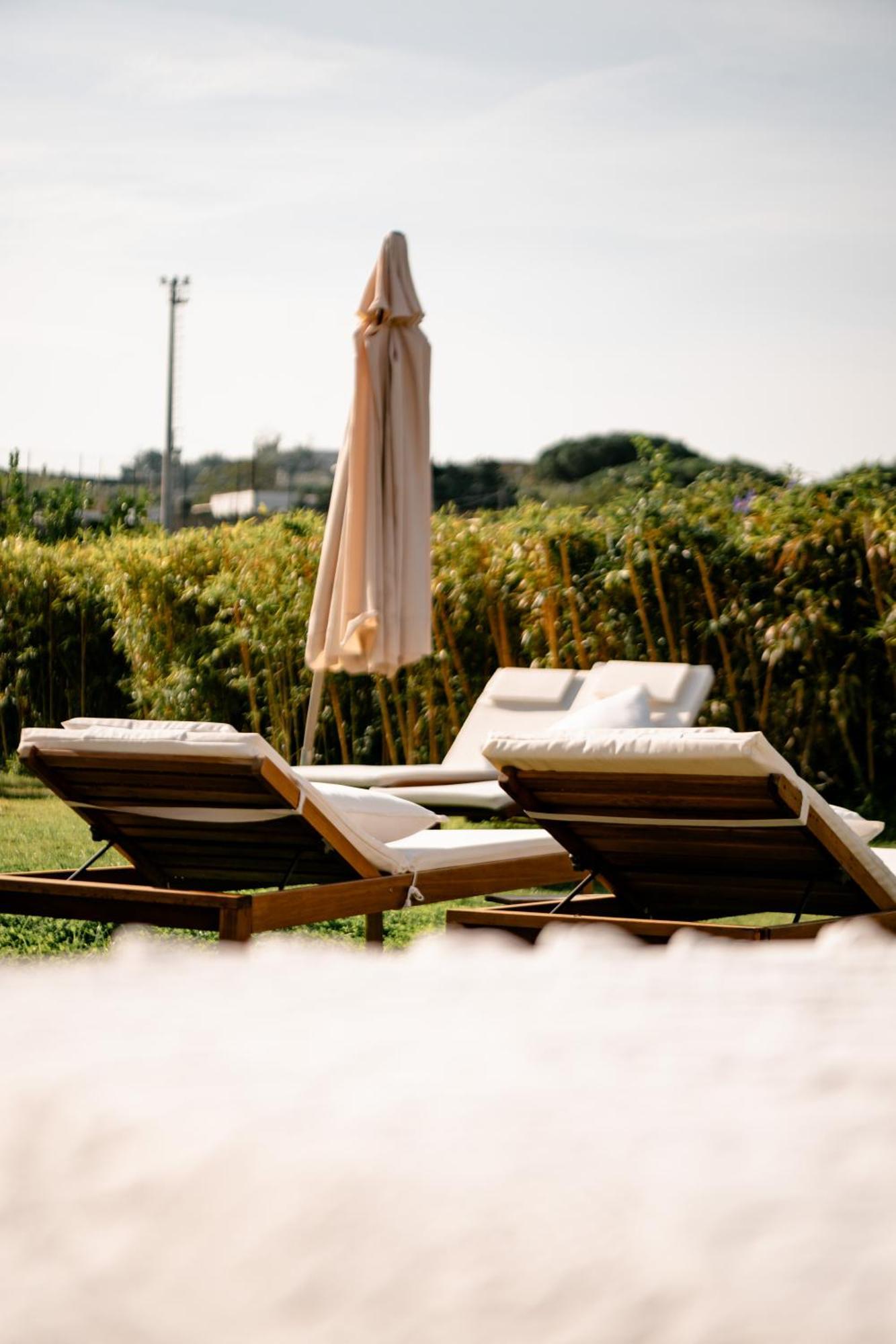 Tenuta Calitto Wine Resort E Spa Ischia Kültér fotó